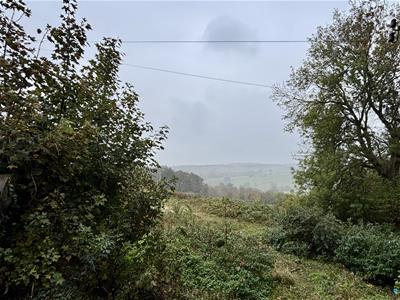 Picture 20